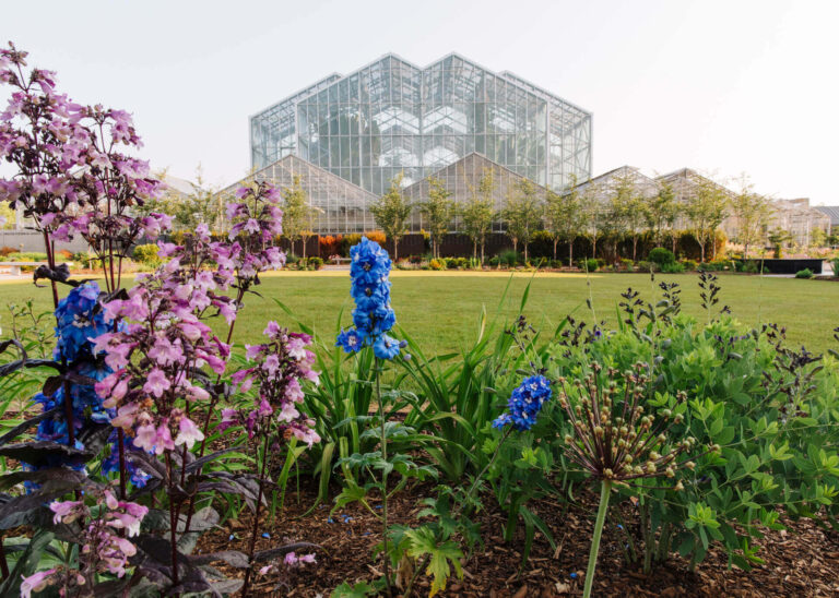 (Community Matters 194) Day Trip: Frederik Meijer Gardens Getaway